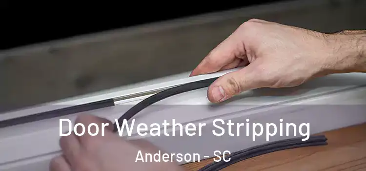 Door Weather Stripping Anderson - SC