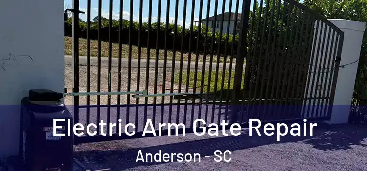 Electric Arm Gate Repair Anderson - SC
