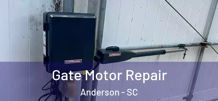 Gate Motor Repair Anderson - SC