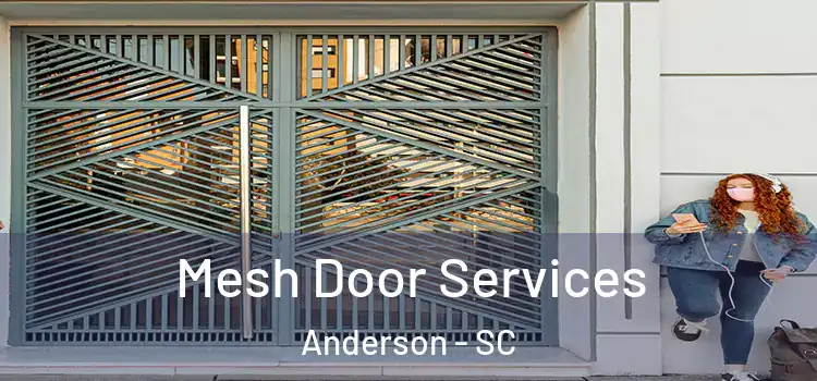 Mesh Door Services Anderson - SC