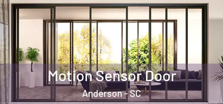 Motion Sensor Door Anderson - SC